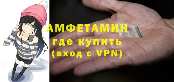 мдпв Вяземский
