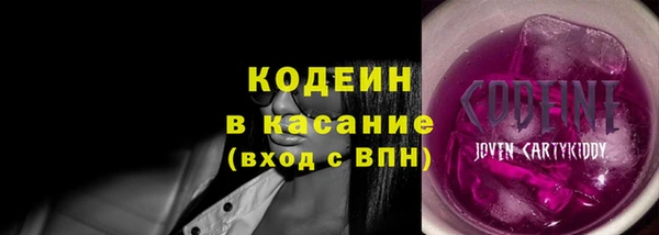 мдпв Вяземский