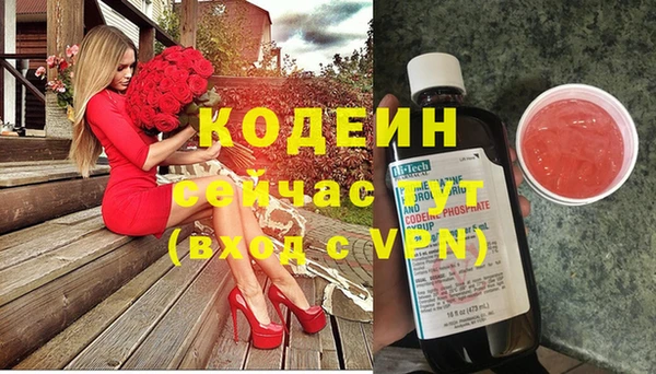мдпв Вяземский