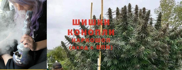 мдпв Вяземский