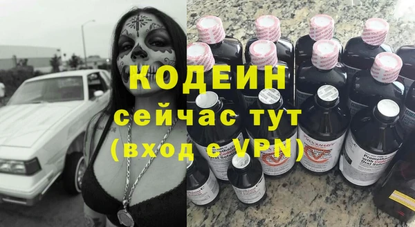 мдпв Вяземский