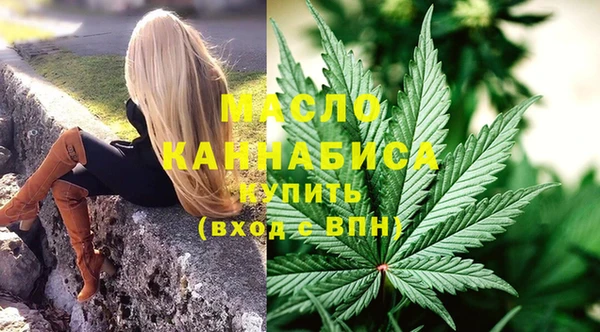 мдпв Вяземский