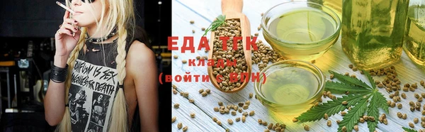 мдпв Вяземский