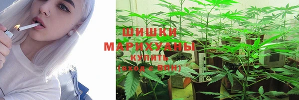 apvp Вязьма