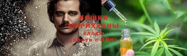 мдпв Вяземский