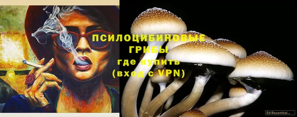 мдпв Вяземский
