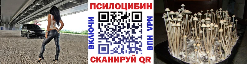 MEGA ссылки  Гусиноозёрск  Псилоцибиновые грибы мухоморы 